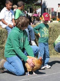 Chicken Race